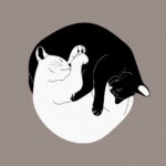 Un gatto bianco e uno nero dormono abbracciati, formando un cerchio.